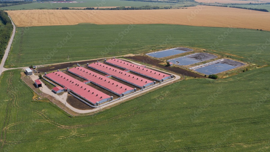 Vista aérea de granja porcina moderna con naves de producción